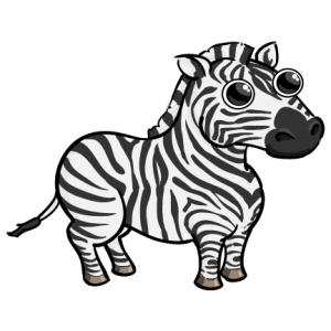 Zebra